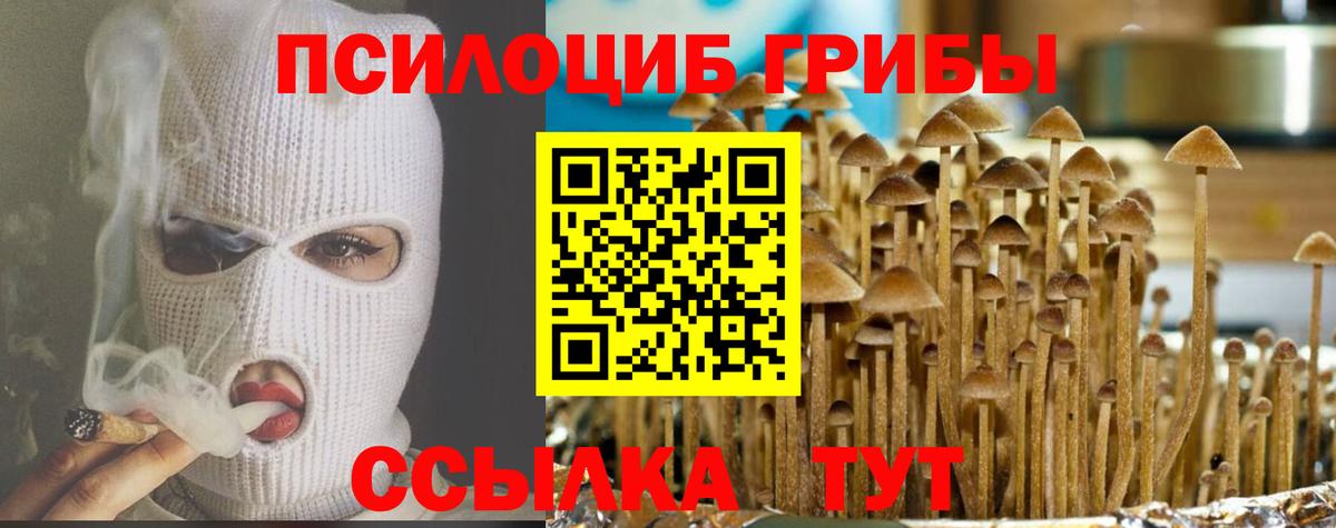 ЭКСТАЗИ Кандалакша